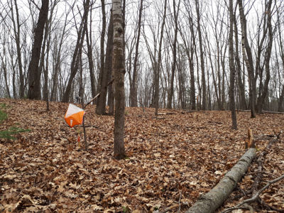 Land Acknowledgment and Reflections